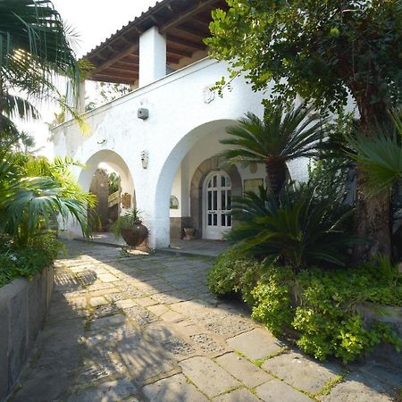 B&B Villa Regine Forio di Ischia Kültér fotó